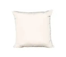20" x 20" Outdoor Pillow